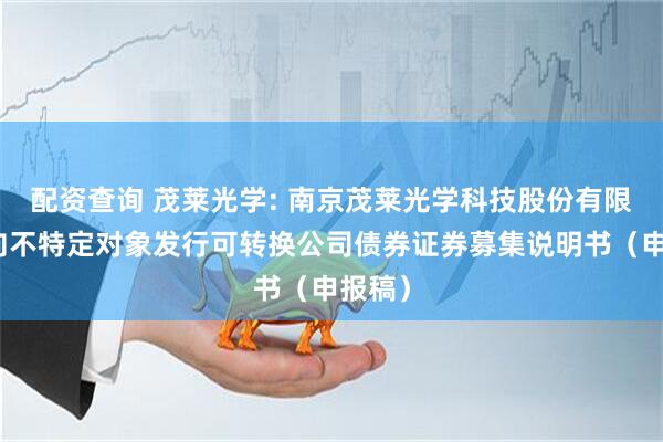 配资查询 茂莱光学: 南京茂莱光学科技股份有限公司向不特定对象发行可转换公司债券证券募集说明书（申报稿）