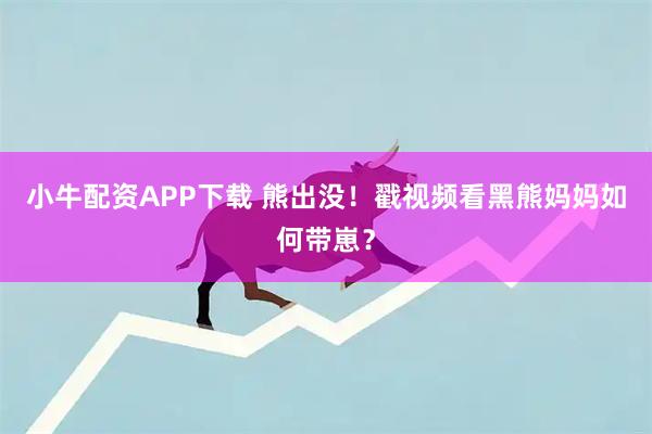 小牛配资APP下载 熊出没！戳视频看黑熊妈妈如何带崽？