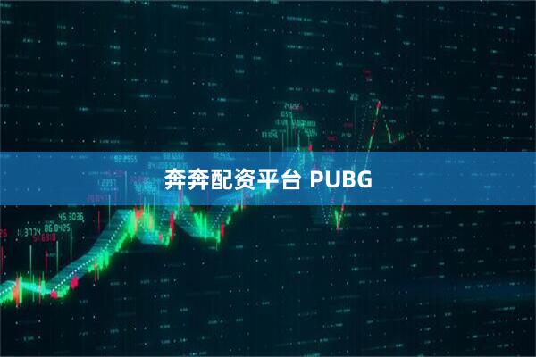 奔奔配资平台 PUBG